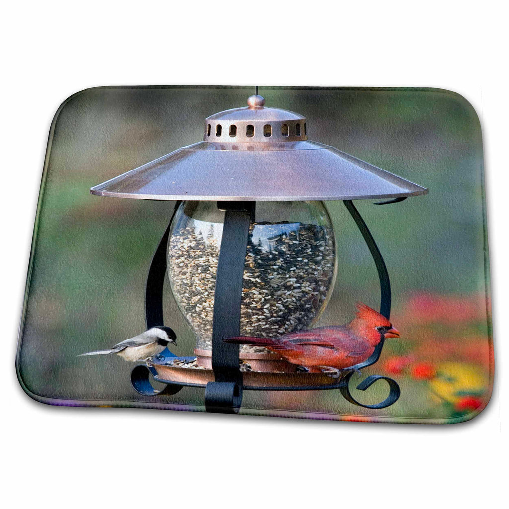 Dish Drying Mat - Carolina Chickadee Northern Cardinal male on copper lantern feeder, IL Birds