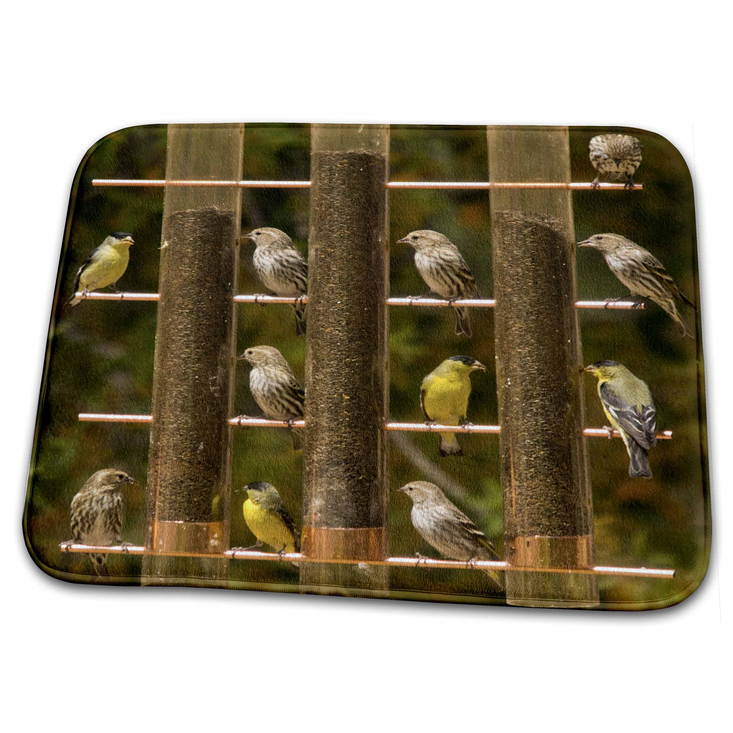 Dish Drying Mat - American Goldfinch at the Feeder, Santa Rita Lodge, Arizona, USA Birds