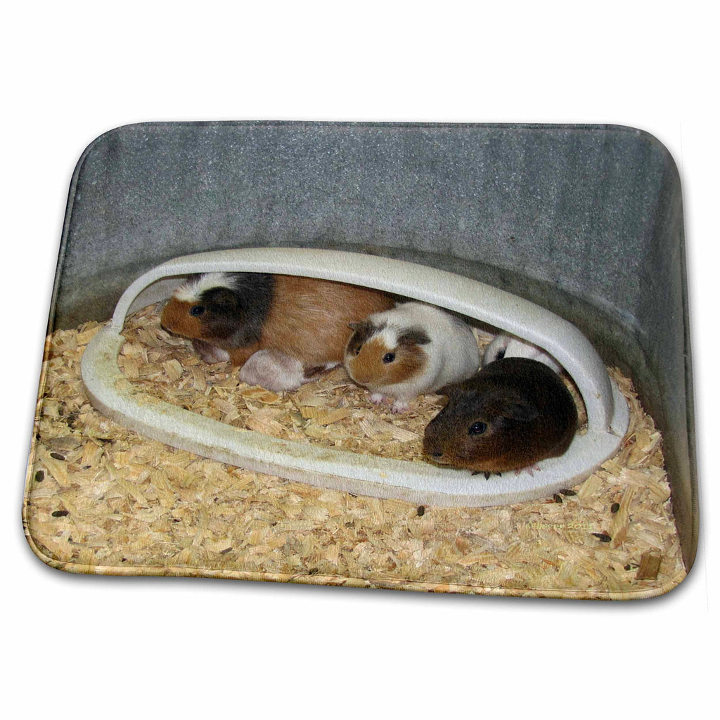 Dish Drying Mat - Hamsters Nature N Wildlife animals