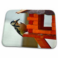 Dish Drying Mat - Woodpecker at Bird Feeder Jr – Birds