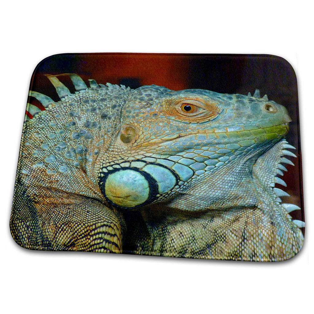 Dish Drying Mat - Iguana lizard. Popular image. Wild Animals