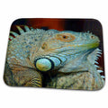 Dish Drying Mat - Iguana lizard. Popular image. Wild Animals