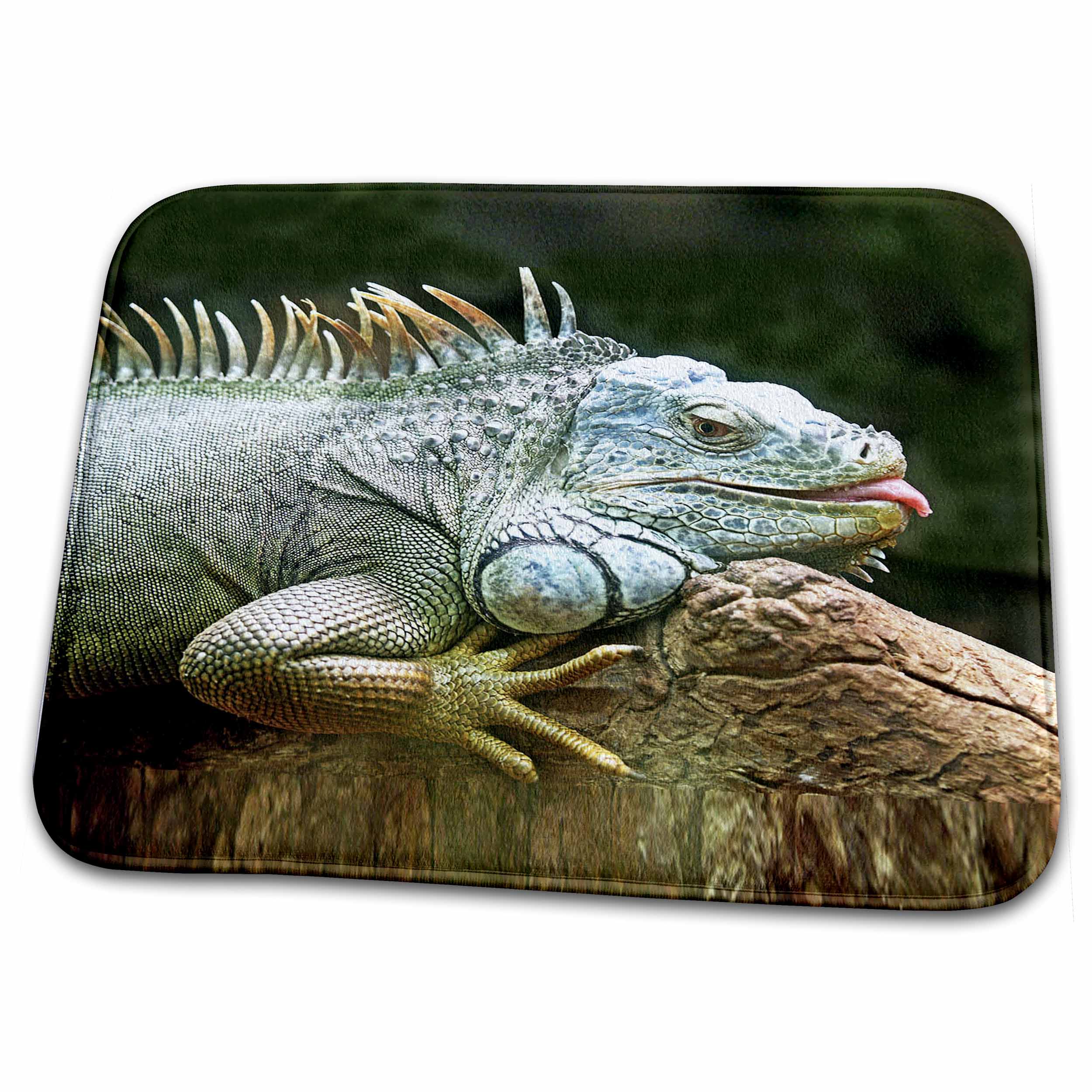 Dish Drying Mat - Image of an Iguana lizard. Wild Animals